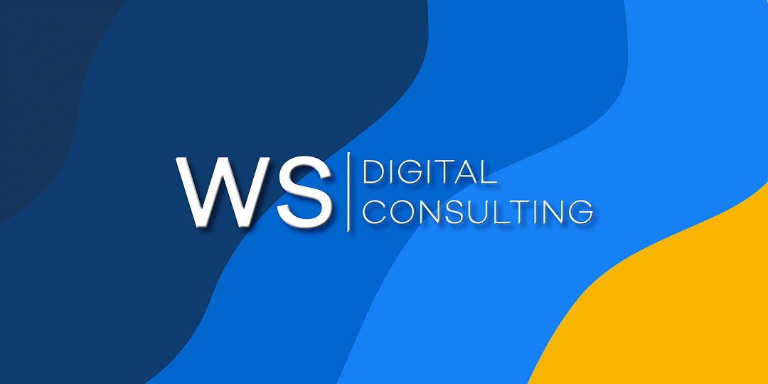 WS Digital Consulting 🔵 cover